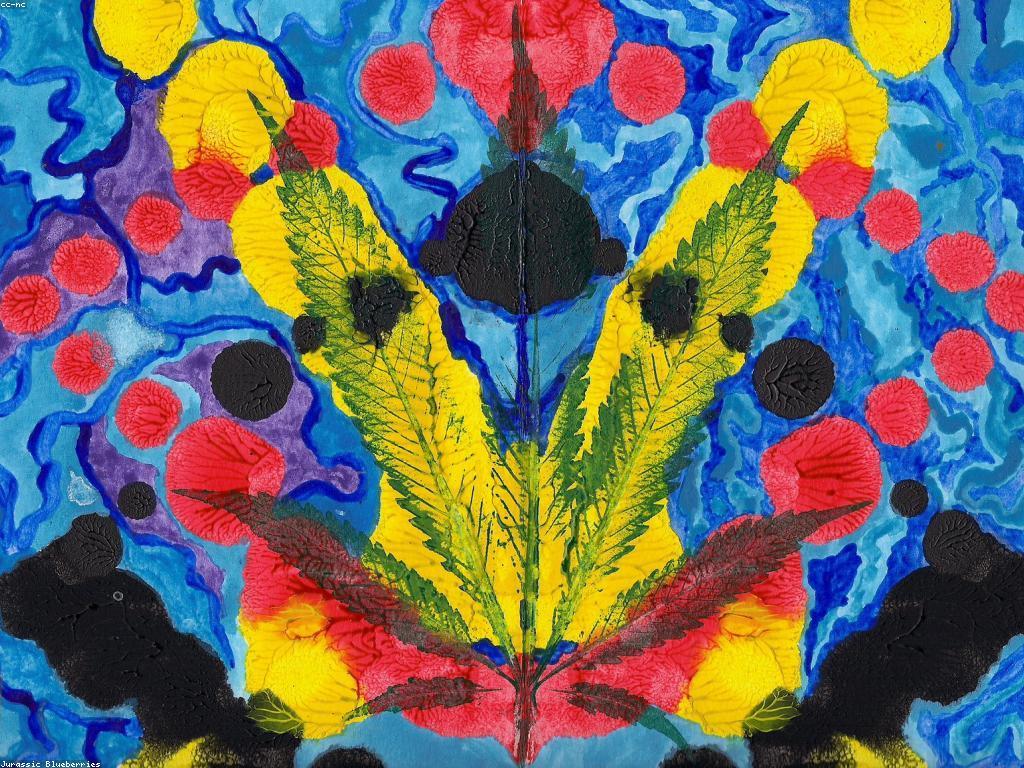 អំពីការប៉ះពាល់នៃព័ត៌មានថ្មីក្នុងវិស័យសង្គម