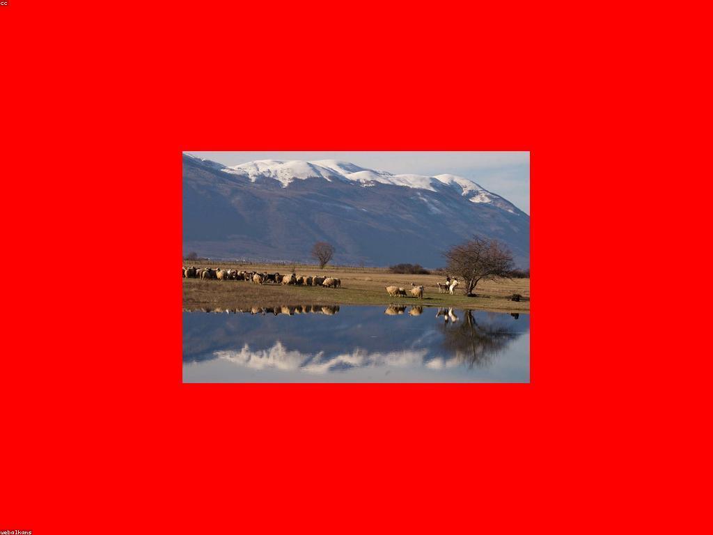 ផលប៉ះពាល់សេដ្ឋកិច្ចនៃសេដ្ឋកិច្ច Slot