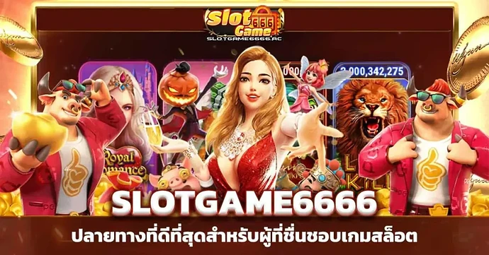 89563258